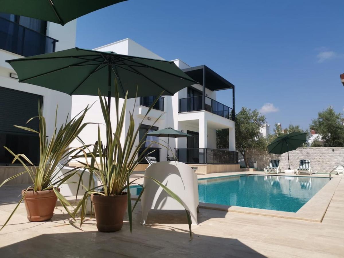 Daire 300m To 2 Bedroom Garden Floor Flat With Pool - Yeni Duenya A1