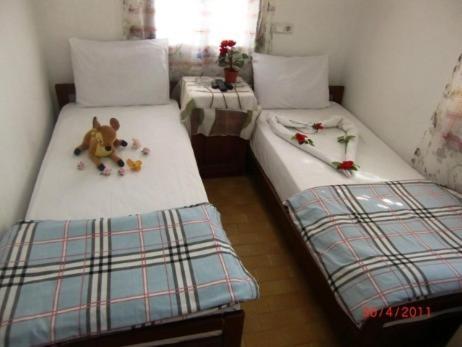 Anfora Bodrum