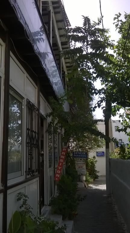 Senlik Homestay *