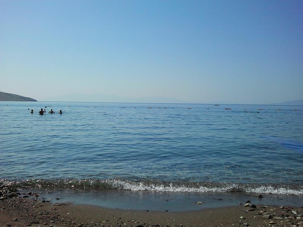 Altinkaya *