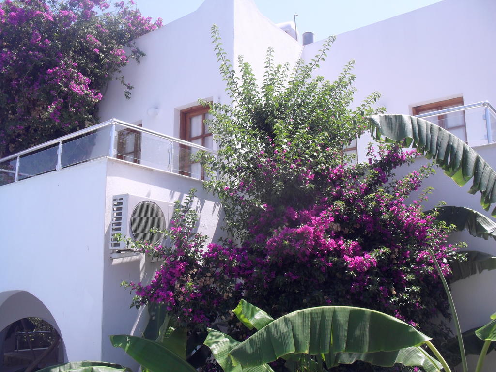 Filis Bodrum