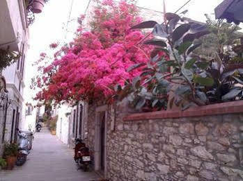 Albergue Denizati Pension