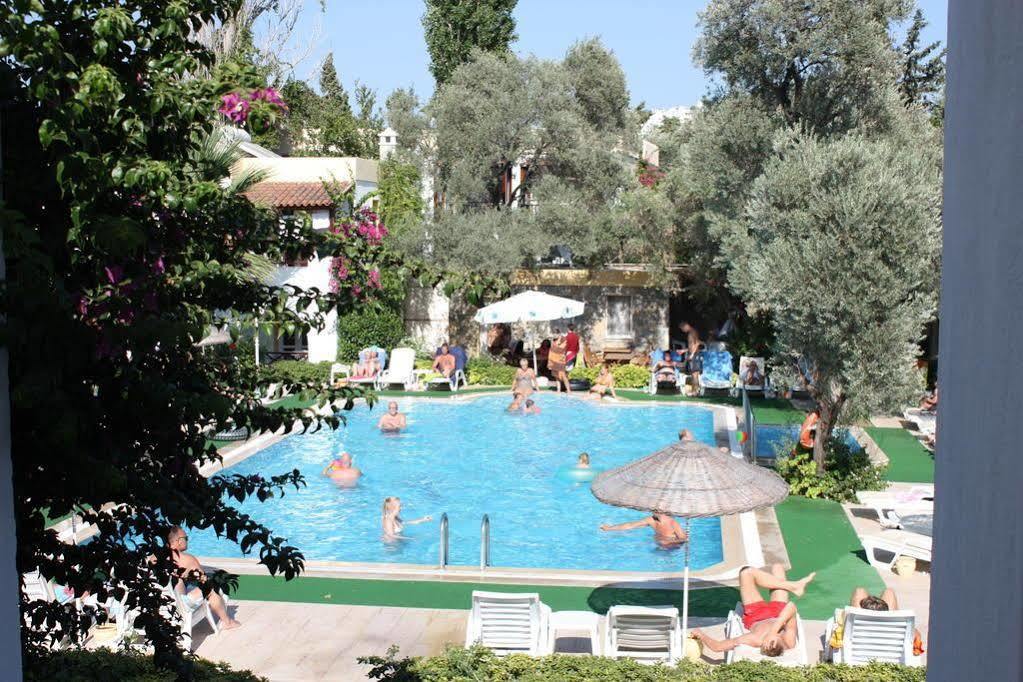 Hotel Toloman Bitez Park 3*