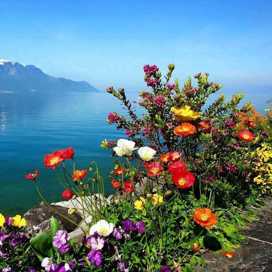Frühstückspension Gozde Deniz Boutique 3*