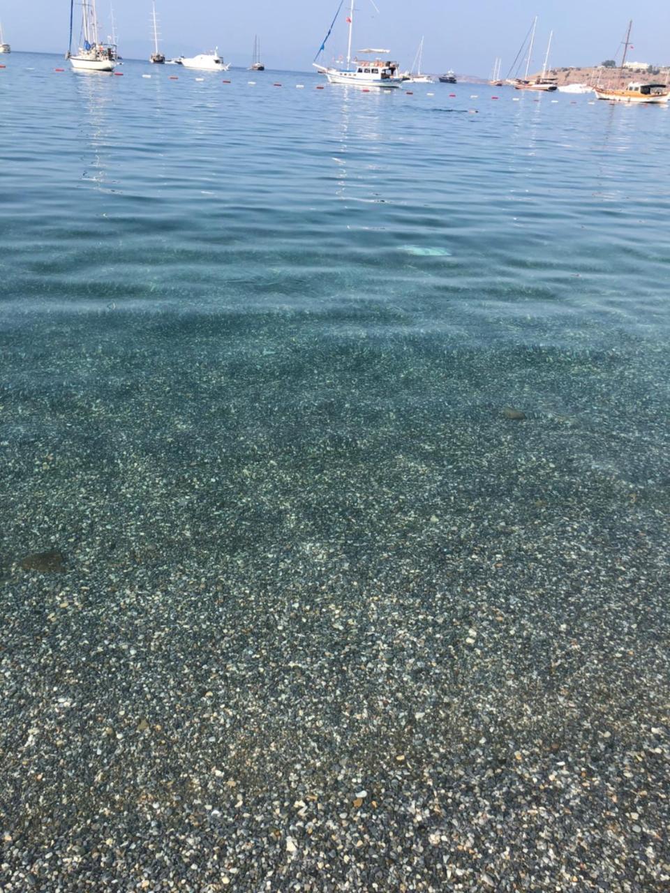 Akkan
