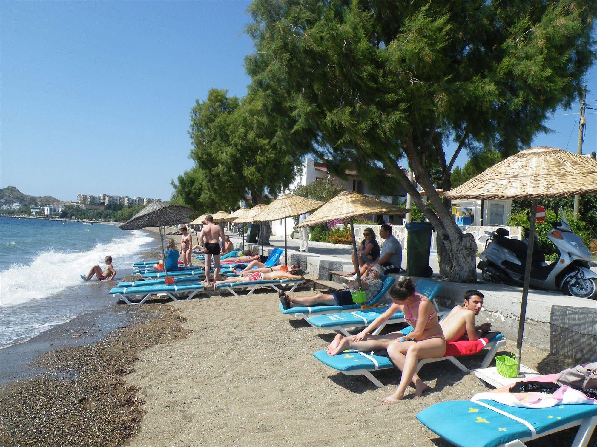 Family Belvedere 3* Bodrum