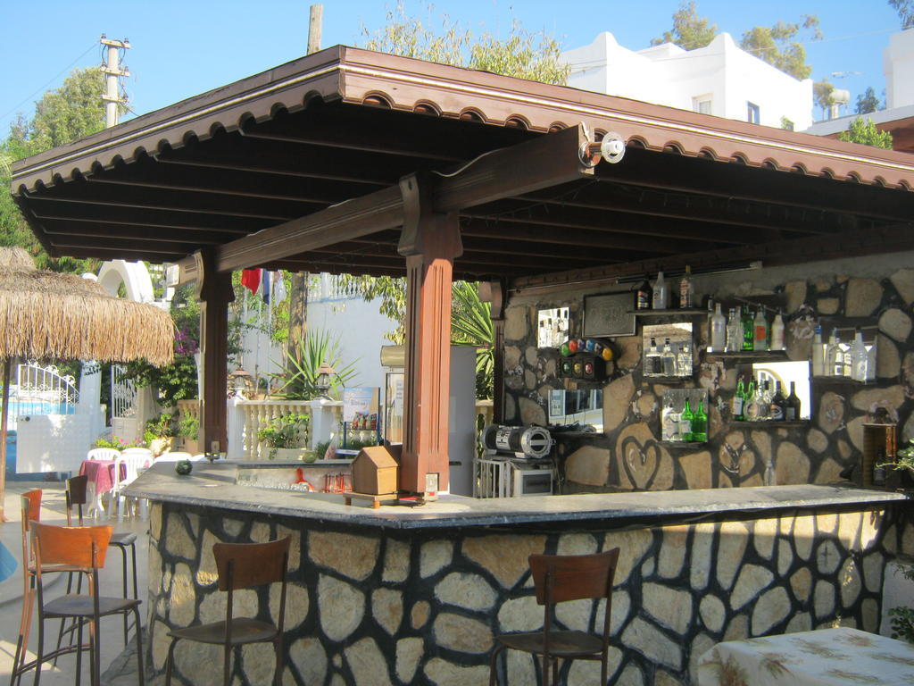 Delfin Bodrum