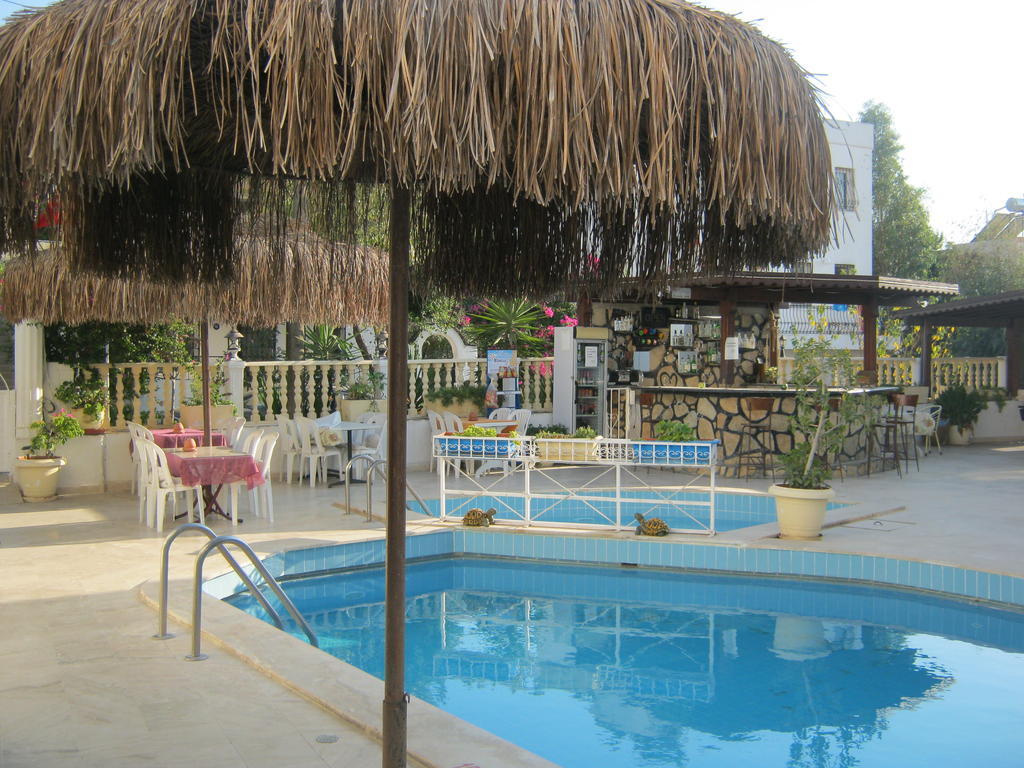 Delfin Bodrum