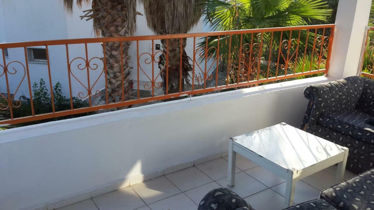 Alfa Bodrum