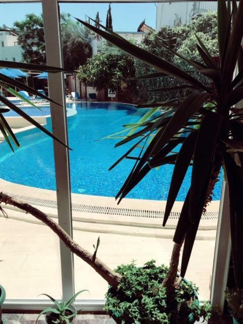 Blu Hotel
