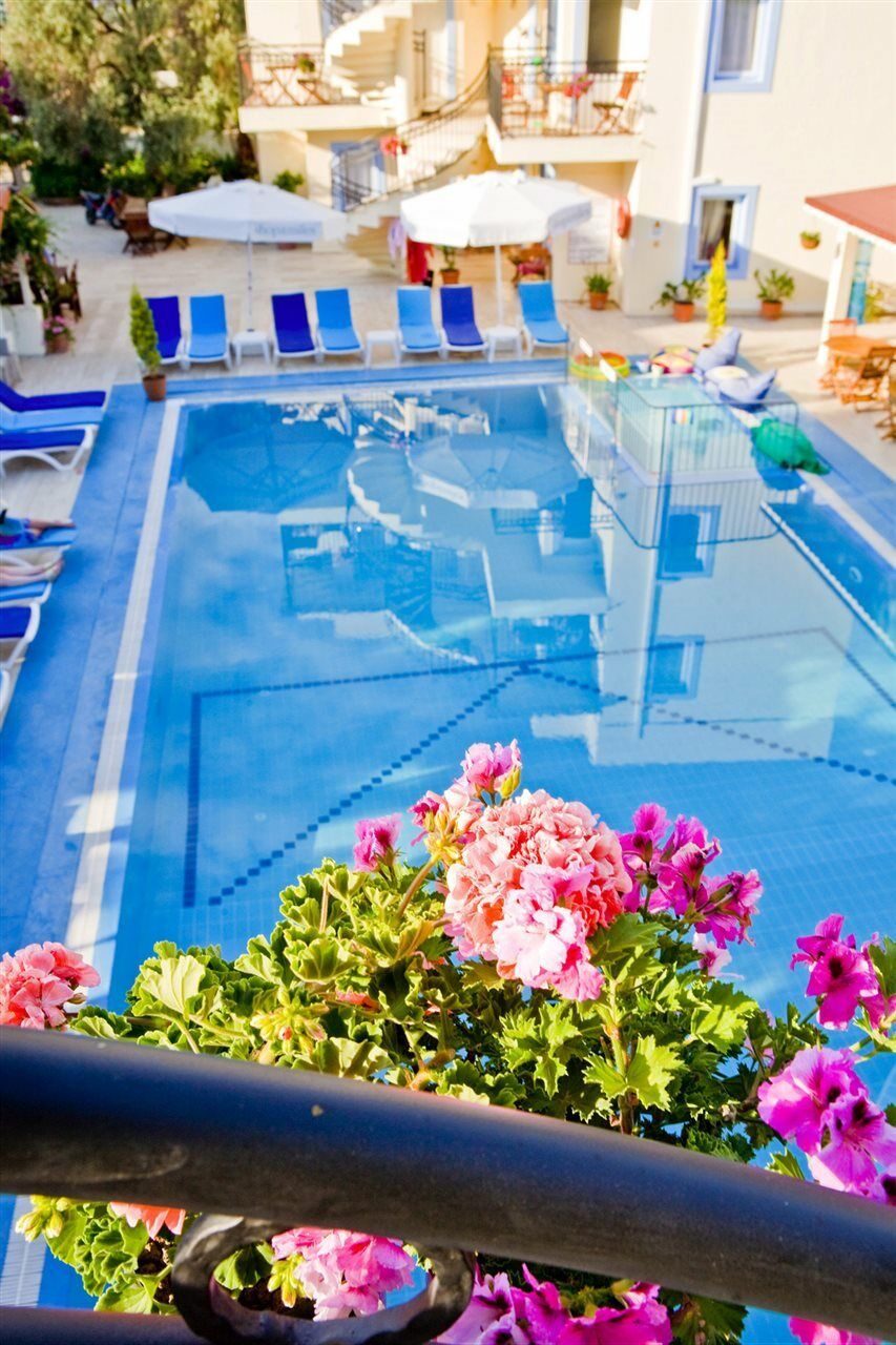 Aparthotel Merve Apartments, Your From In Bodrum, Street Cats Frequent The Property, Not Have Balconies , Ground Floor Have Terrace With Table And Chairs