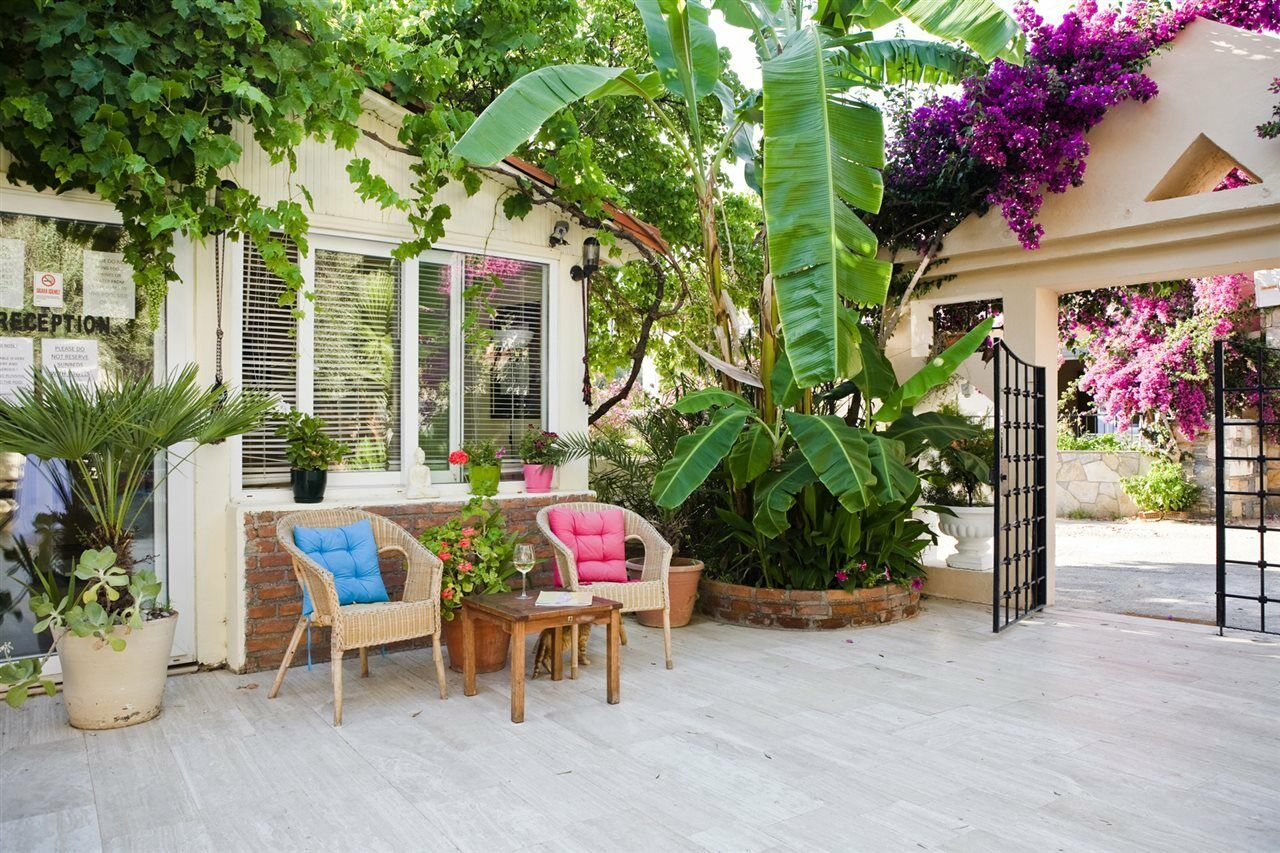 Aparthotel Merve Apartments, Your From In Bodrum, Street Cats Frequent The Property, Not Have Balconies , Ground Floor Have Terrace With Table And Chairs Bodrum