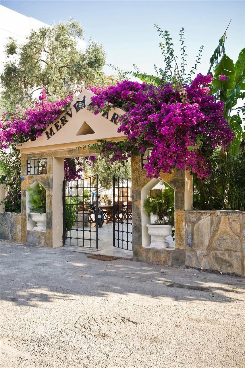 Merve Apartments, Your From In Bodrum, Street Cats Frequent The Property, Not Have Balconies , Ground Floor Have Terrace With Table And Chairs Aparthotel Bodrum