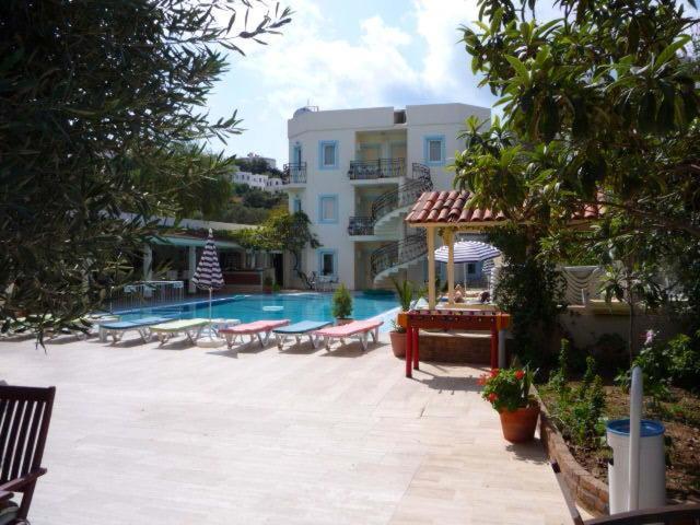 Aparthotel Merve Apartments, Your From In Bodrum, Street Cats Frequent The Property, Not Have Balconies , Ground Floor Have Terrace With Table And Chairs Bodrum