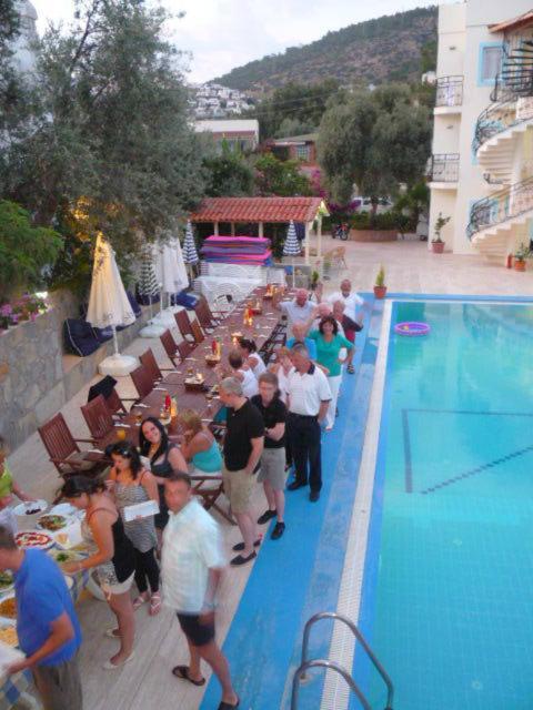 Aparthotel Merve Apartments, Your From In Bodrum, Street Cats Frequent The Property, Not Have Balconies , Ground Floor Have Terrace With Table And Chairs Bodrum