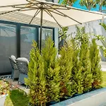 Cimentepe Residence Deluxe 3