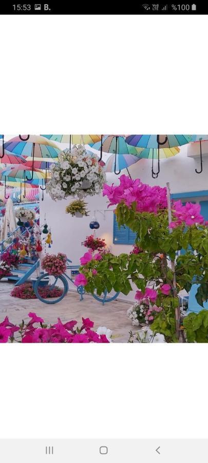 Hotel Duru Butik