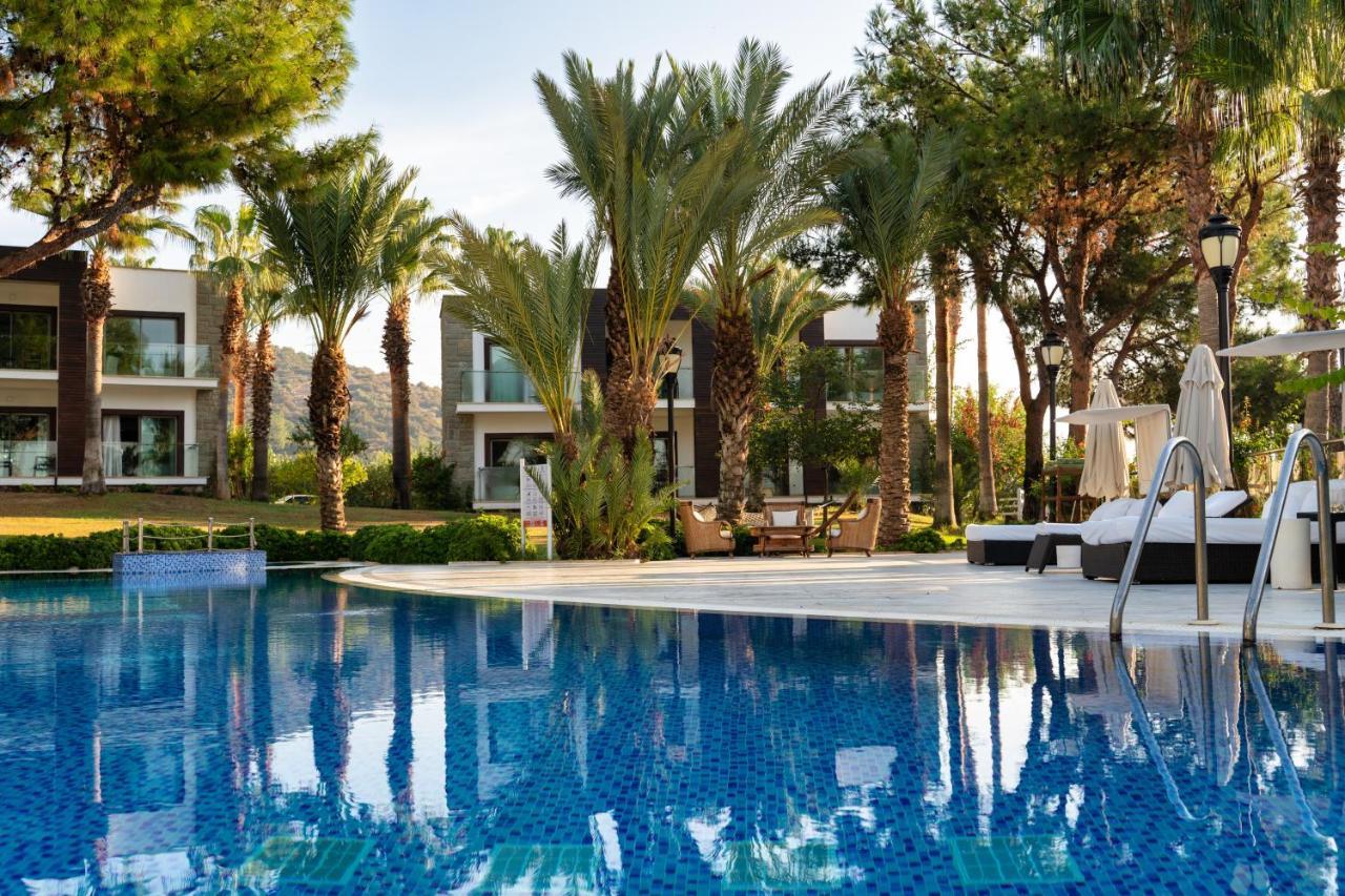 Hillstone & Bodrum