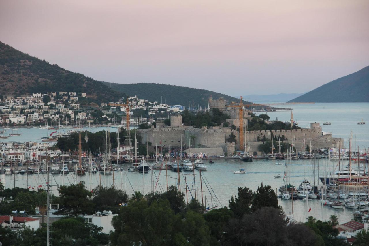 Flag +12 * Bodrum