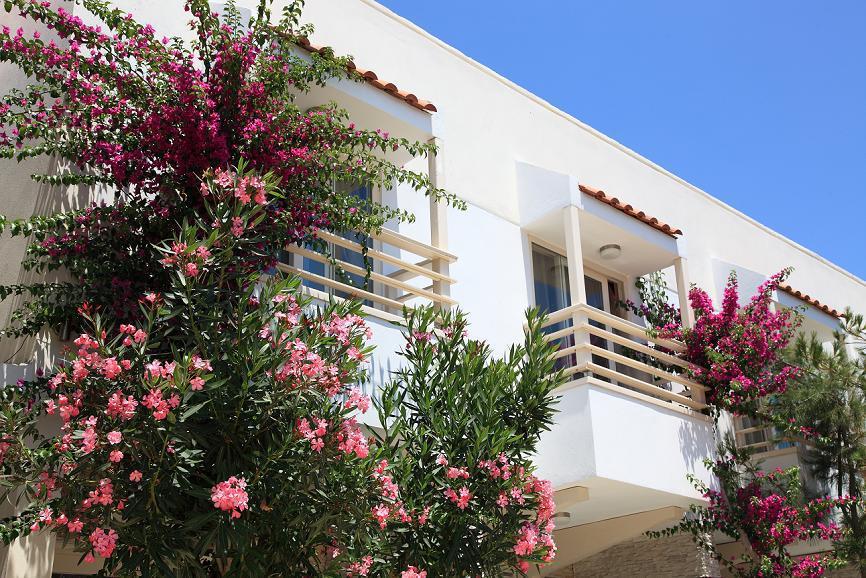 Hotel Delfi & Wellness Center Bodrum