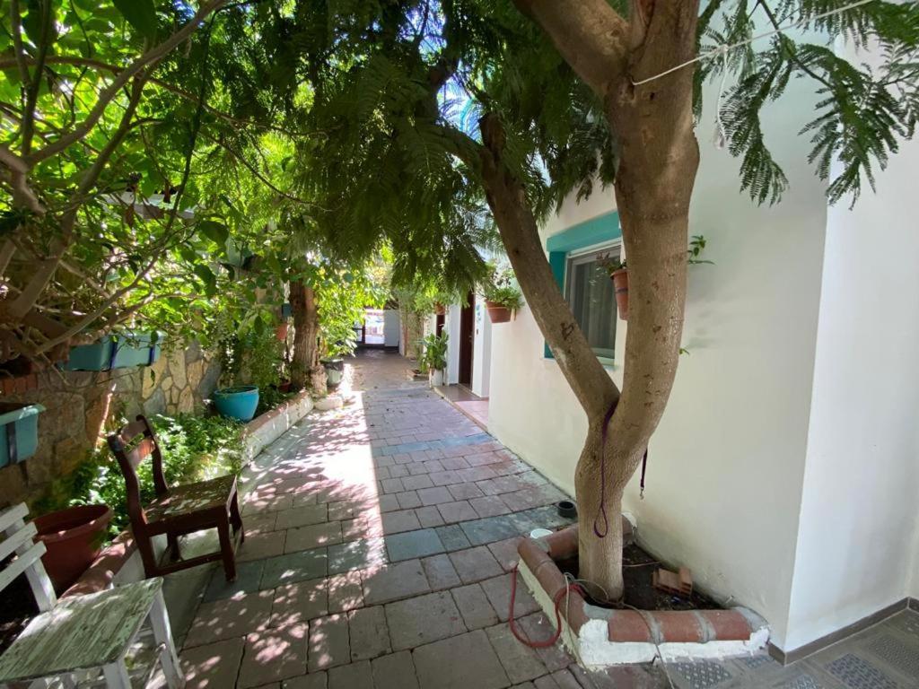 Manolya Hotel *