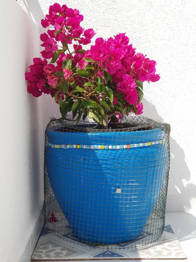 Begonville Appartement *