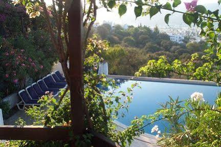 Antique Theatre Hotel Bodrum