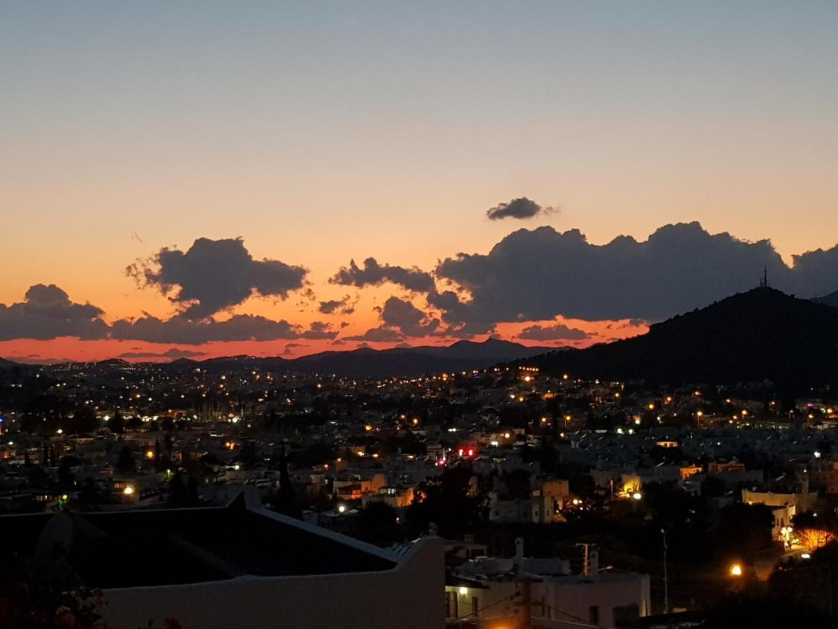 Begonville *