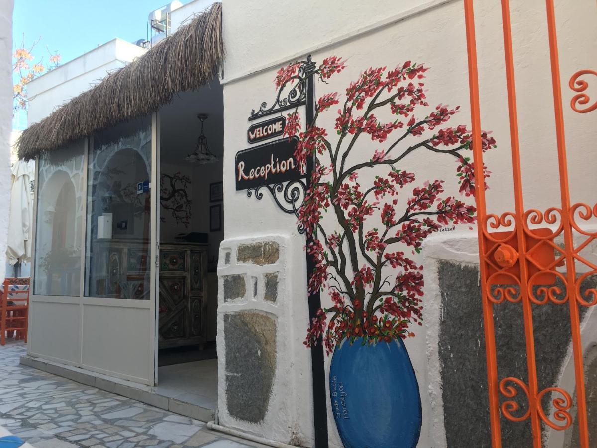 Sade Bodrum