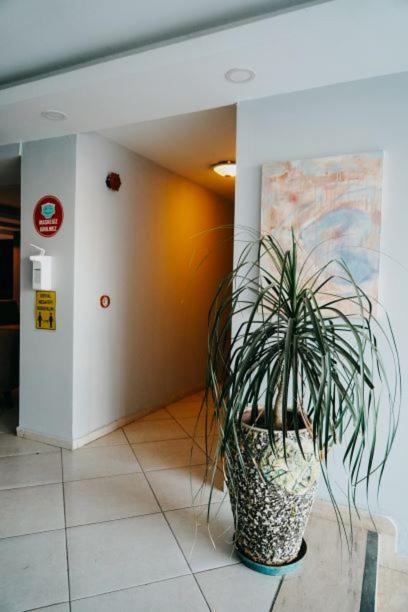 Hotel Rozetta *