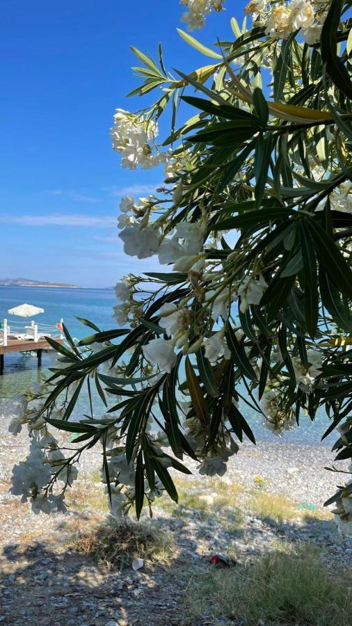 Love Beach Villa *
