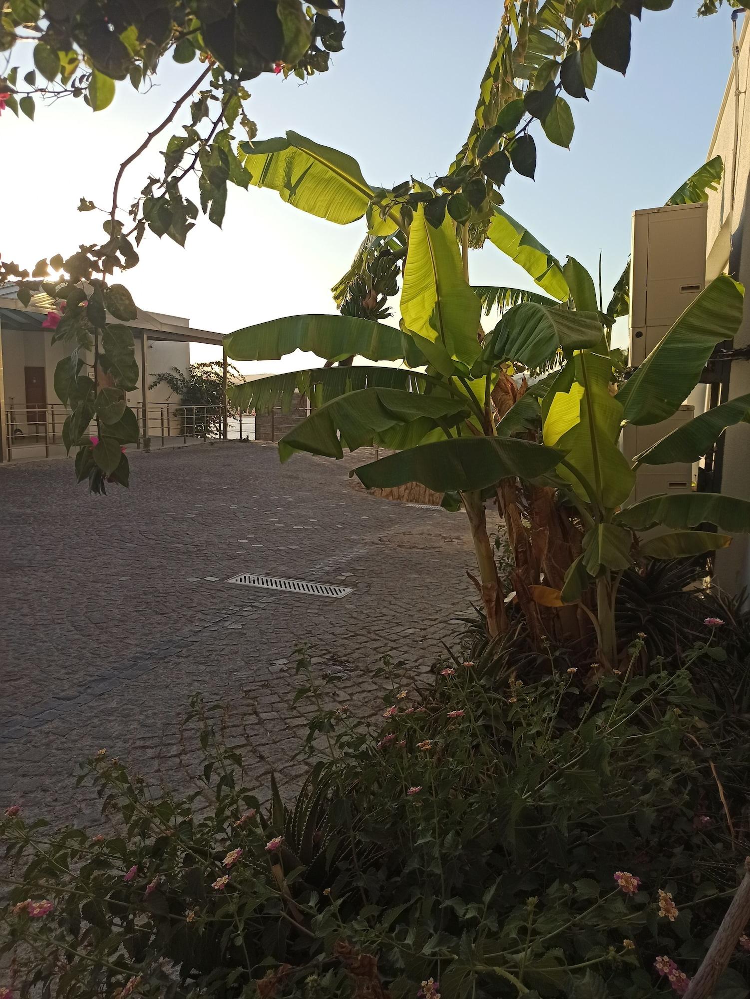 Degirmenburnu Aparthotel 3*