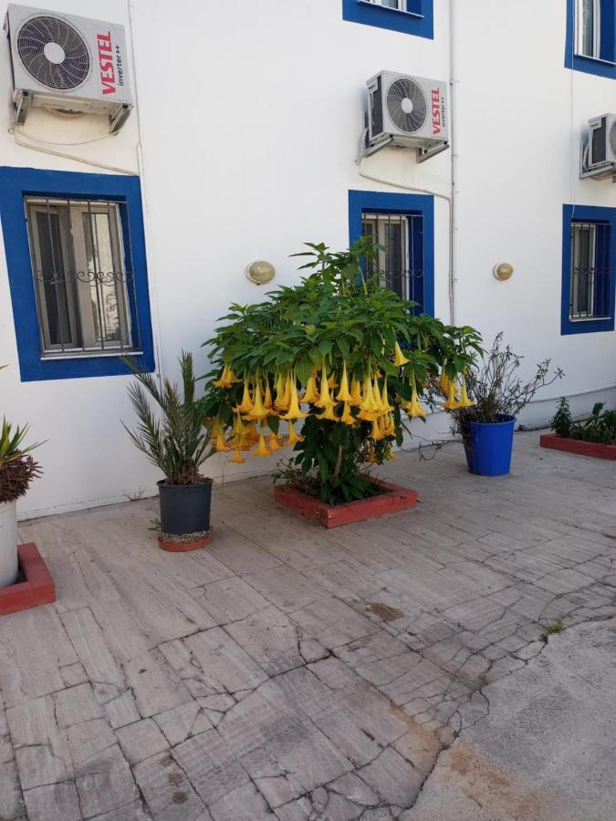 Pay Homestay