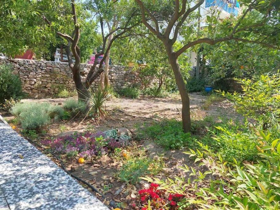 Mel's Garden House In The Heart Of The