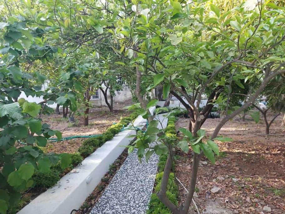 Mel's Garden House In The Heart Of The * Bodrum