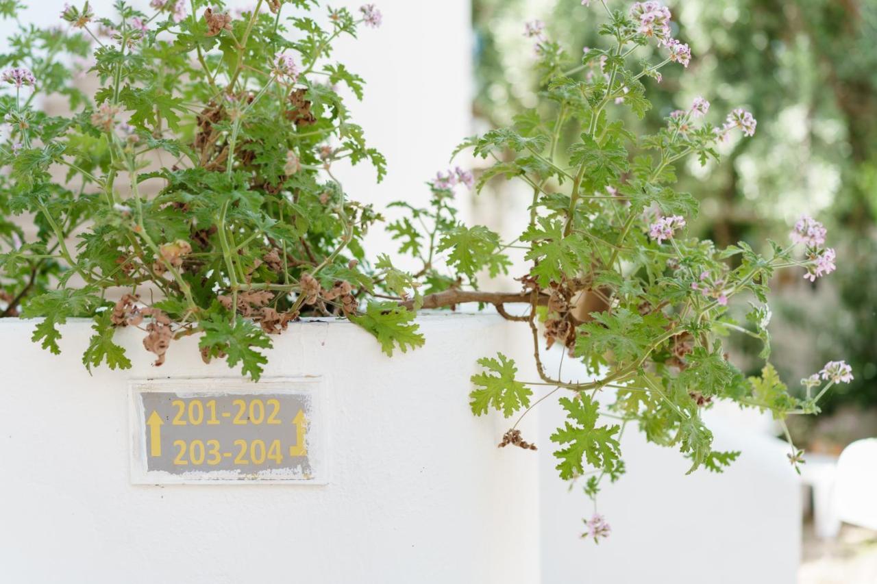 Hotel Costa Sariyaz