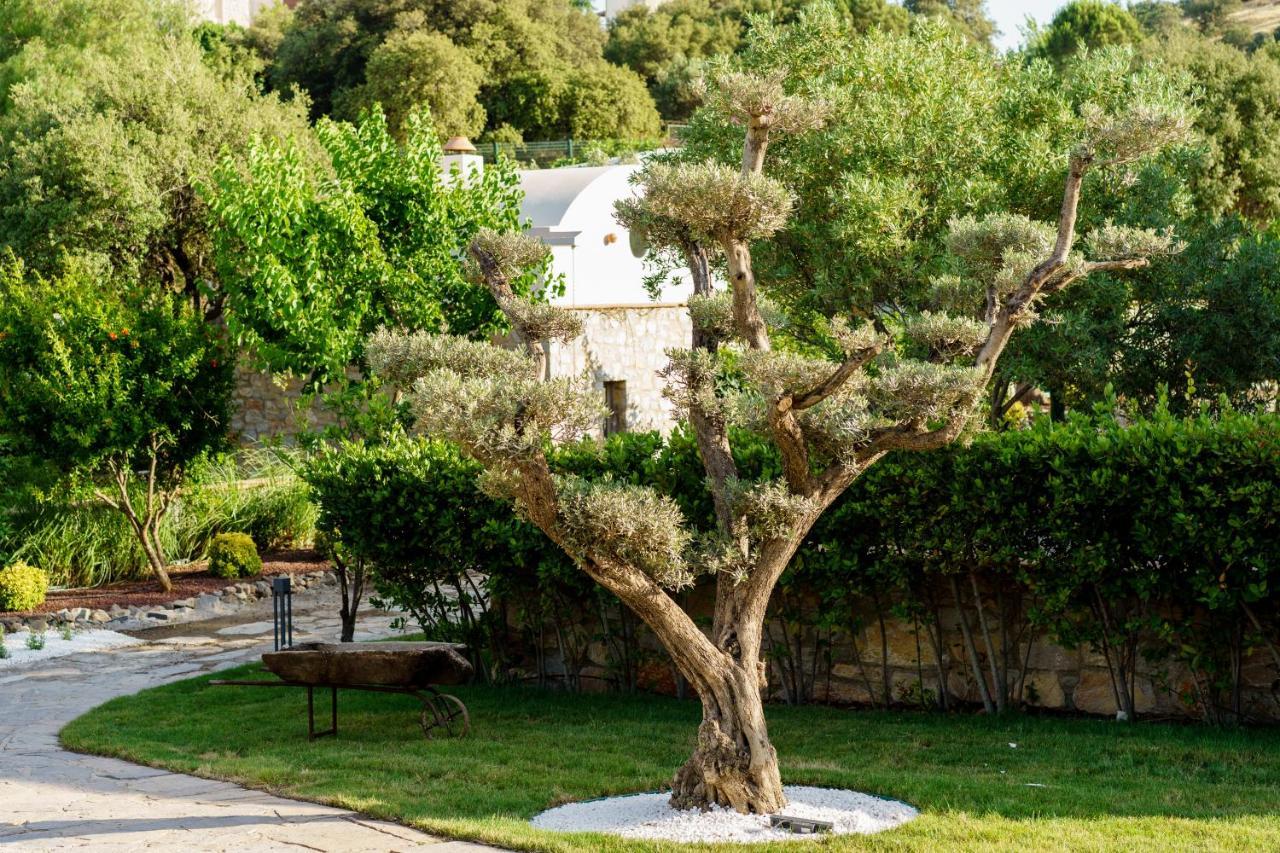 Odette Bodrum