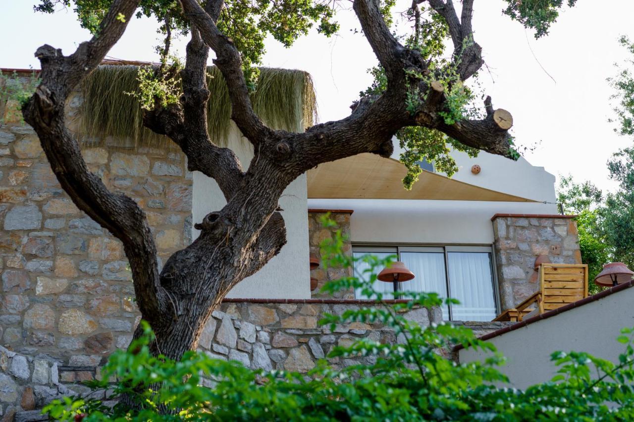 Odette Bodrum