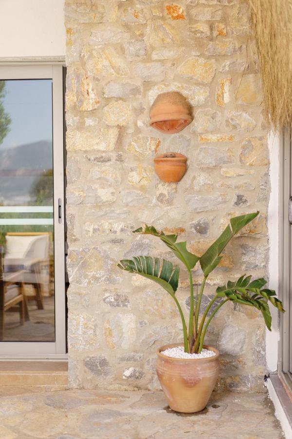 Odette * Bodrum