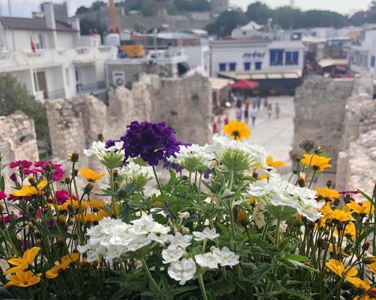 Apartment Houses Of Socrates - Manzara Bodrum