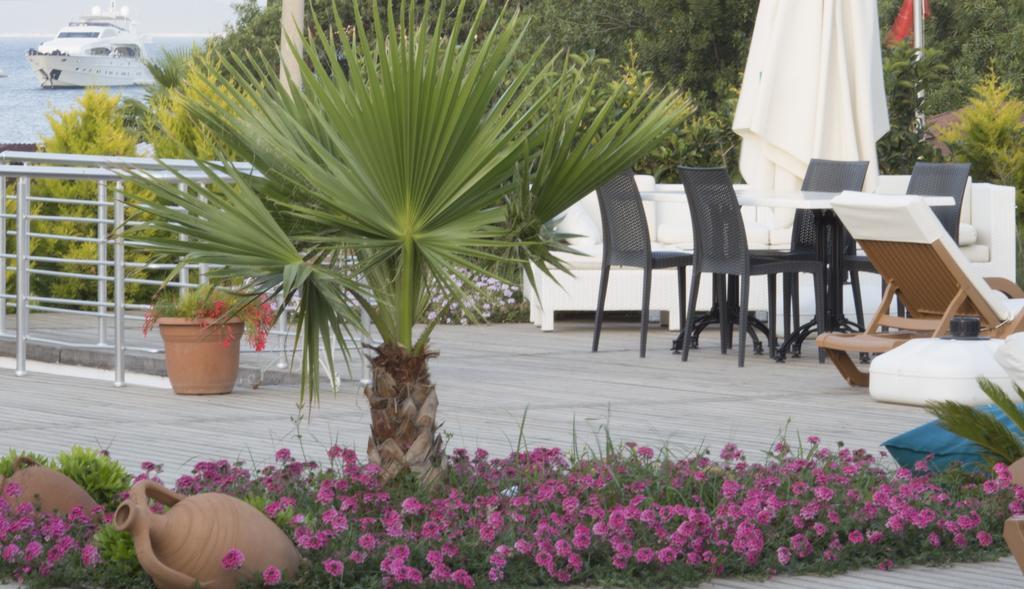 Genc Bodrum