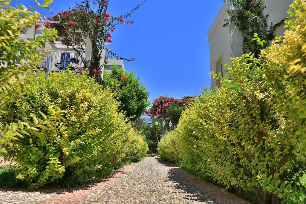 Mandarin & 5* Bodrum
