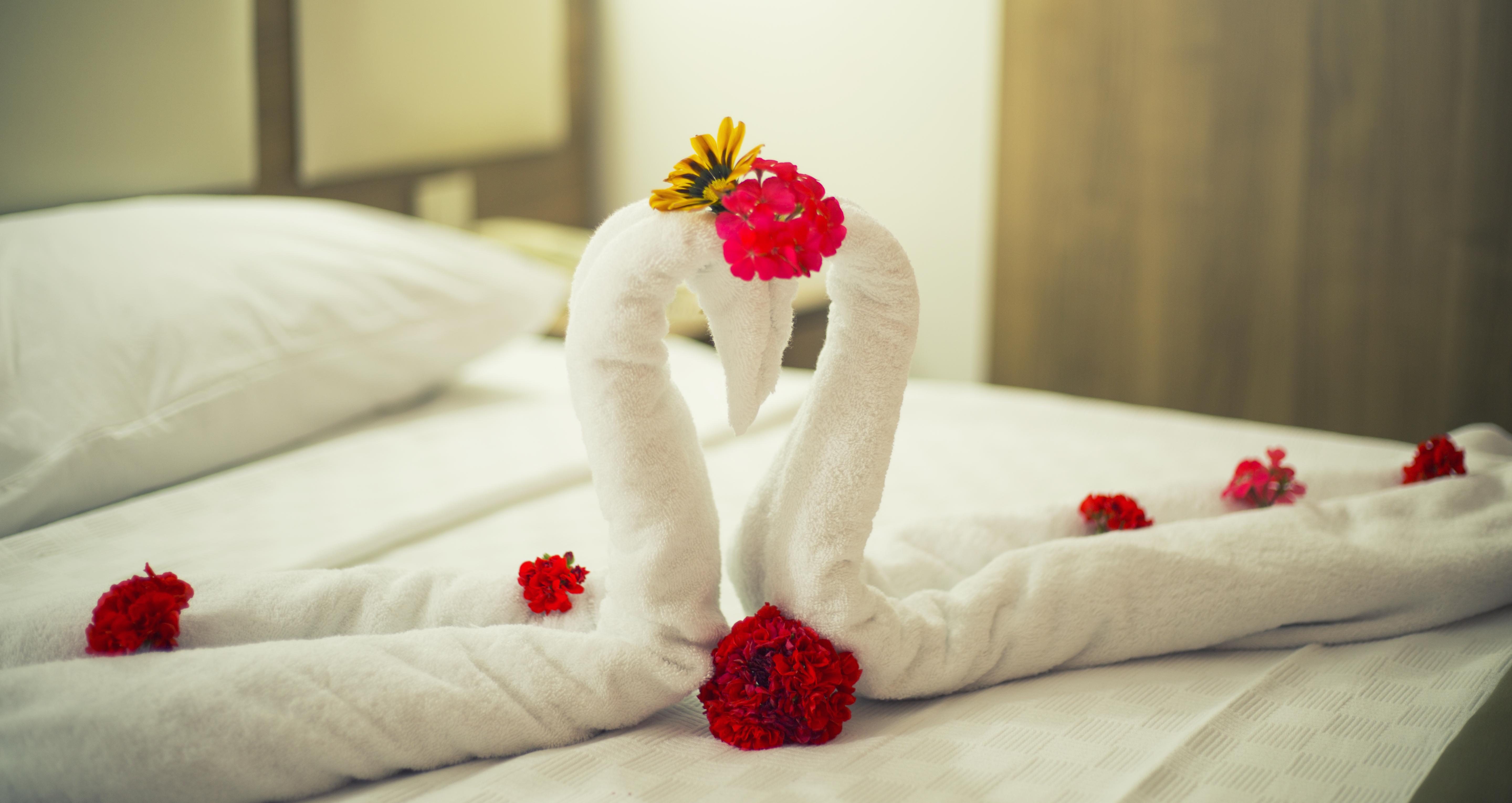 Royal Panacea Bodrum