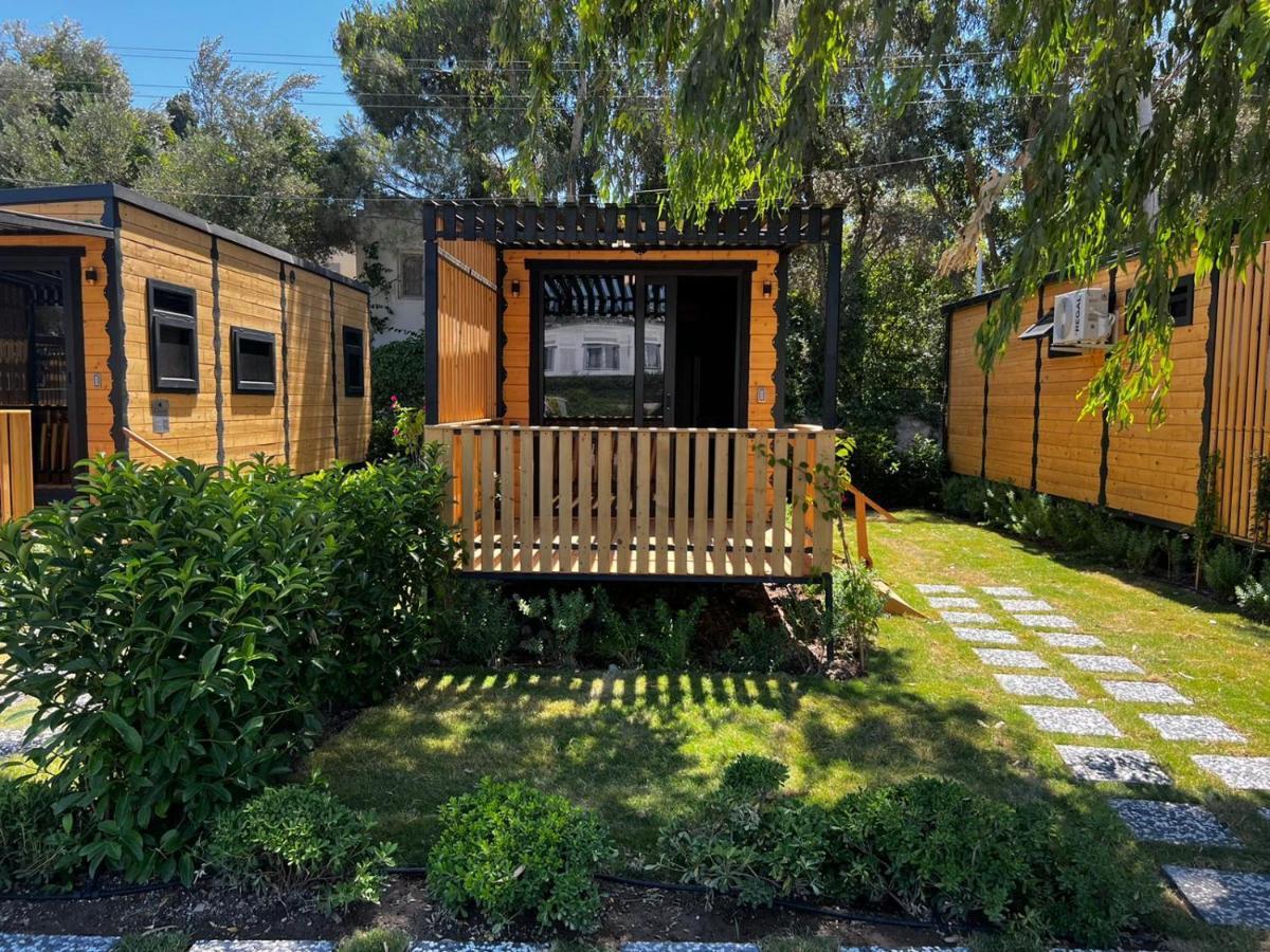 Bitez Tiny House &