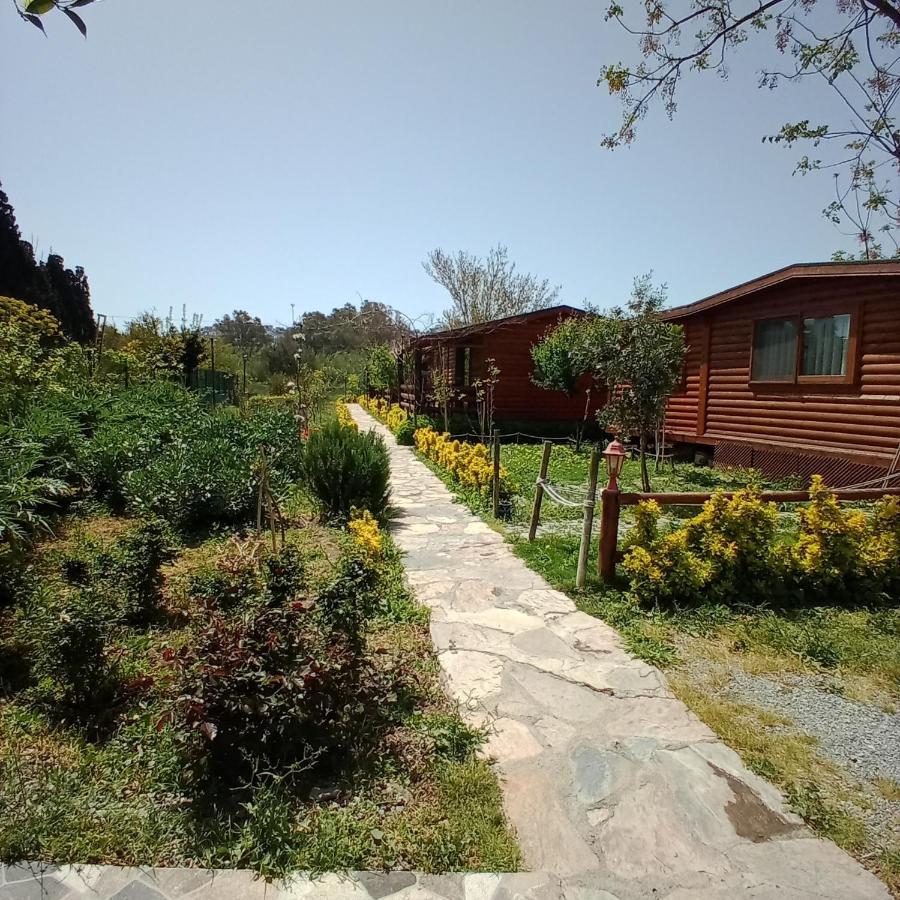 Defnewoodhome