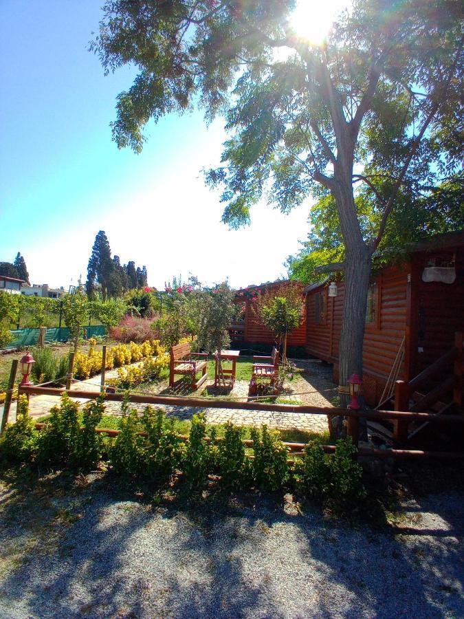 Aparthotel Defnewoodhome *