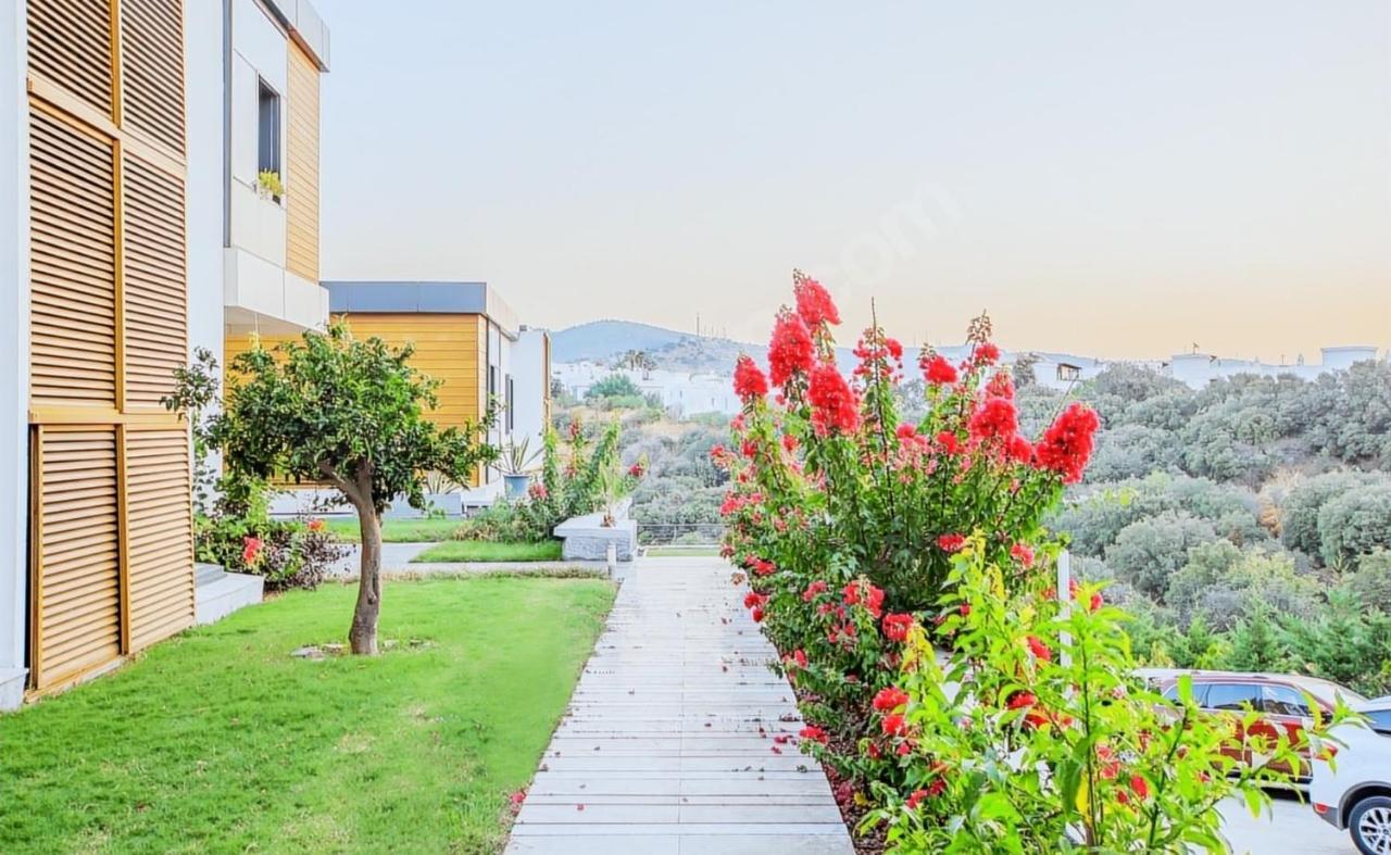 Luxury In Marina With Pool