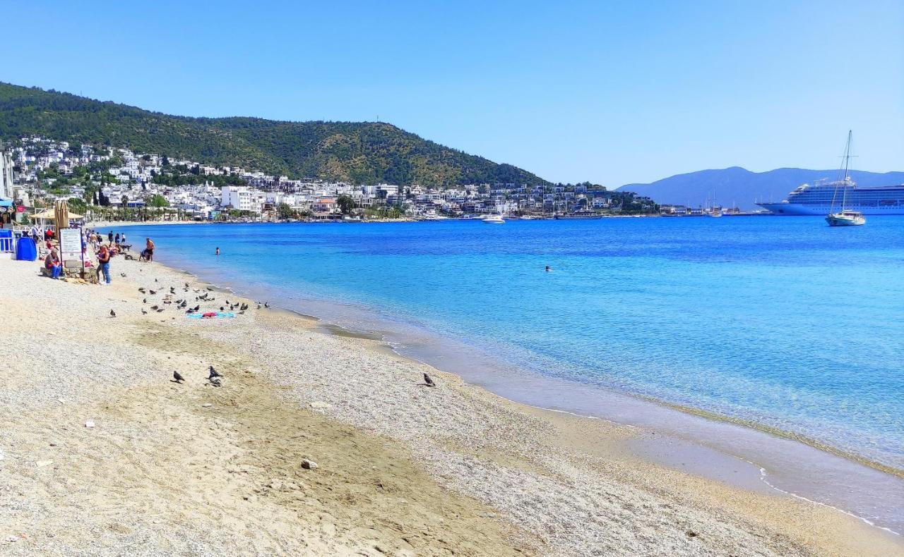 Apartment 18th Century Renovated Stone House, Terrace, Free Fast Wi-fi Bodrum