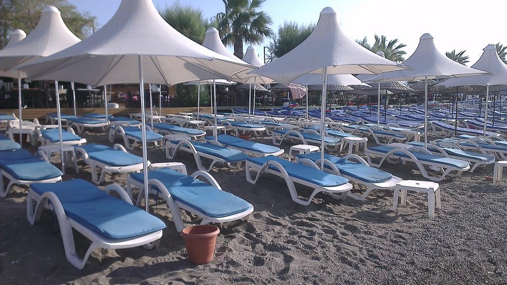 Florida Bodrum