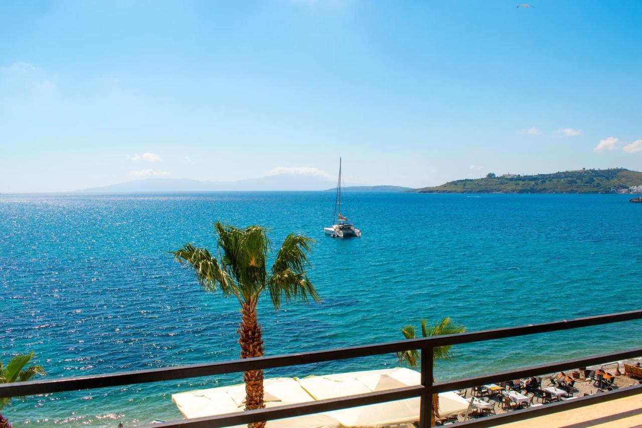 Dinc Bodrum